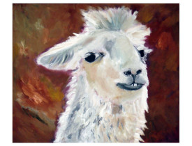 Lama . 2011 . olie op linnen . 50x60