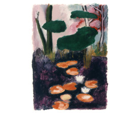 Waterlelies, Overveen . 1993 . 65x50